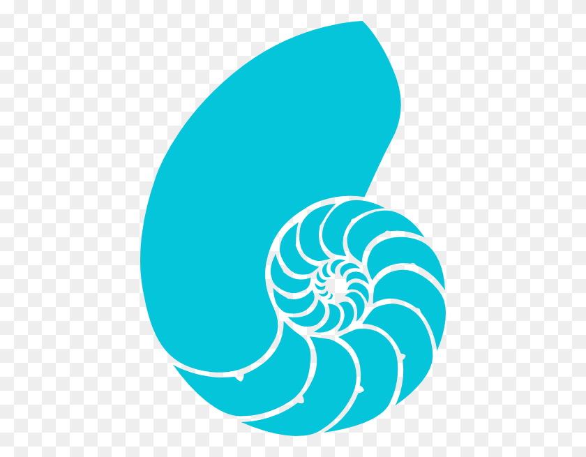 438x595 Shell Clipart Turquoise - Shell PNG