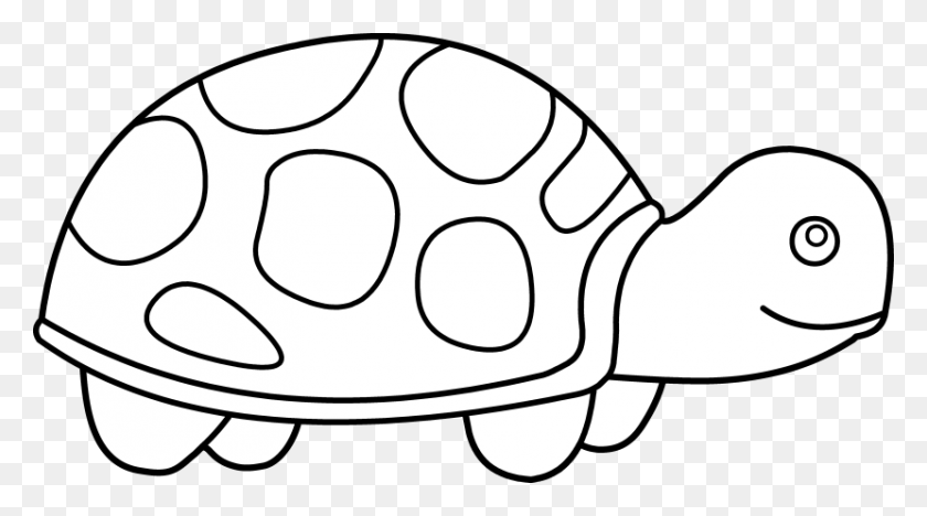 830x435 Shell Clipart Turtle - Shell Clipart Black And White
