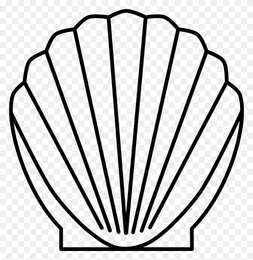 1553x1600 Shell, Seashell, Scallop, Sea - Scalloped Circle Clipart