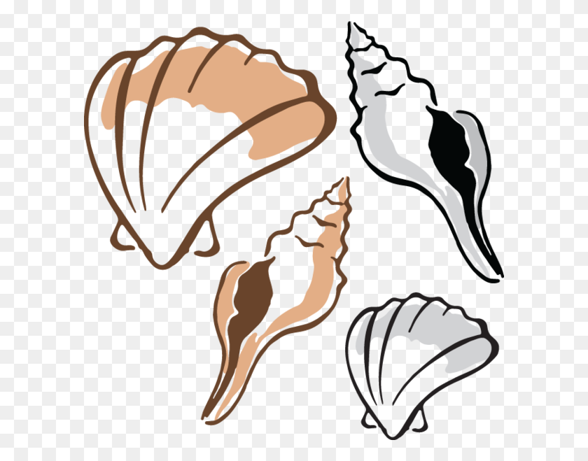 600x599 Shells - Sea Shell Clip Art