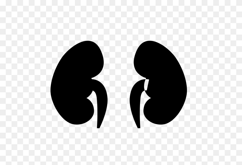 512x512 Shenzang, Kidney, Organ Icon With Png And Vector Format For Free - Kidney PNG
