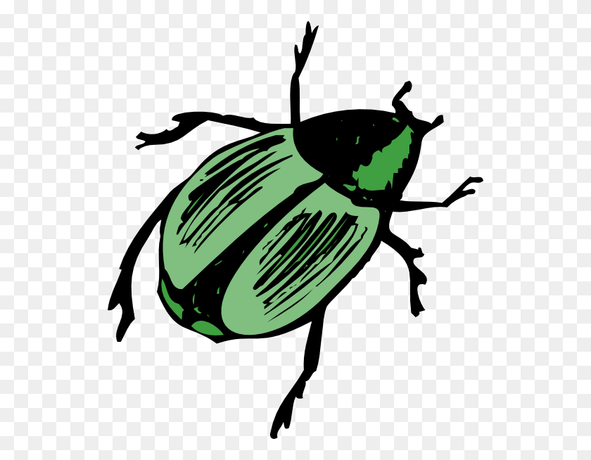 534x594 Imágenes Prediseñadas De Escarabajo Verde Brillante - Clipart De Parásitos