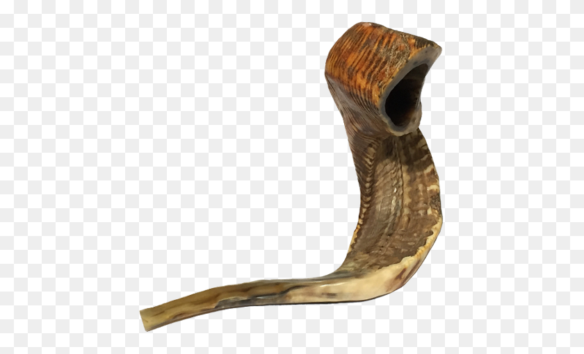 450x450 Shofar The Sound Of Covenant Declare His Glory Among The Nations - Shofar PNG