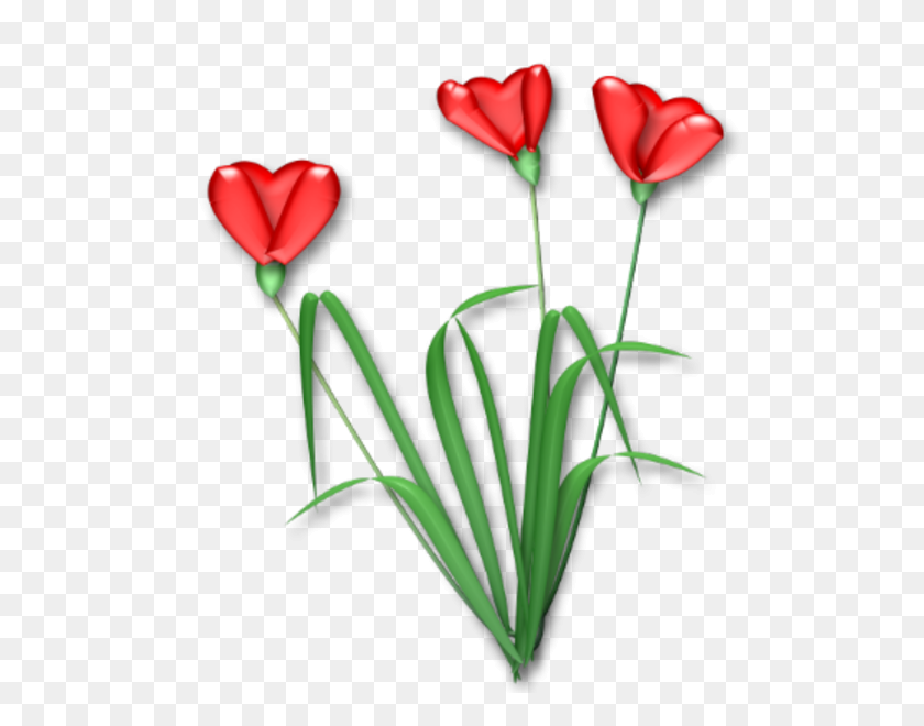 532x600 Бесплатные Изображения Шонна Сердце Цветок - Сердце Цветок Клипарт