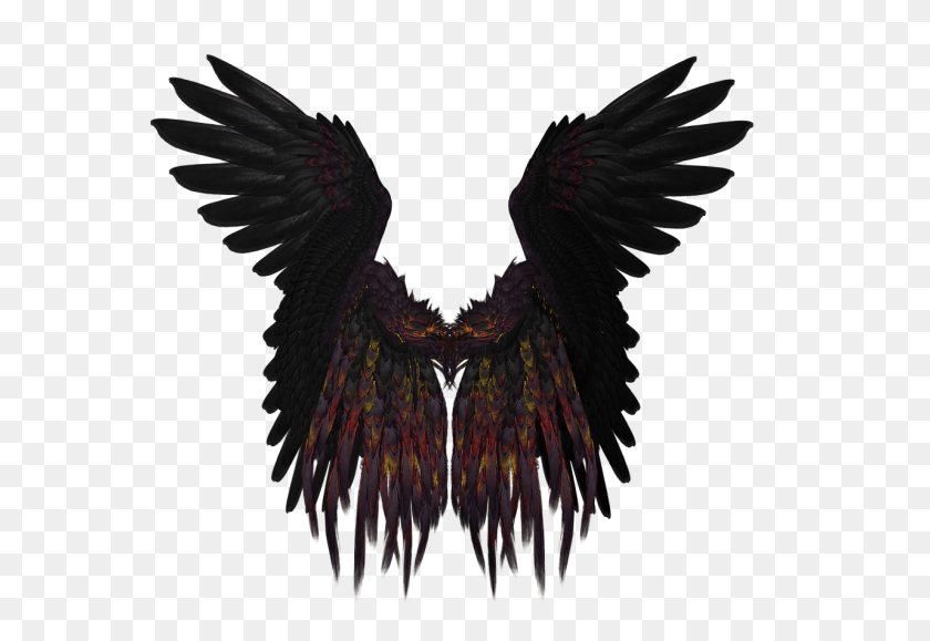 1280x853 Short Black And Purple Wings Transparent Png - Wings PNG
