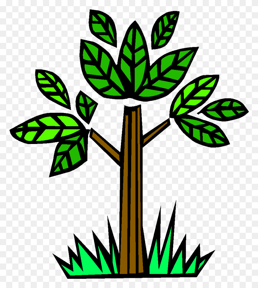 941x1062 Should People Be Allowed To Destroy The Amazon Rainforest - Rainforest Tree Clipart