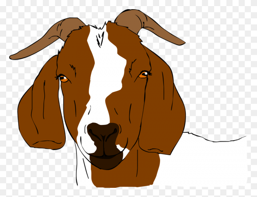 900x676 Show Goat Cliparts - Boer Goat Clip Art