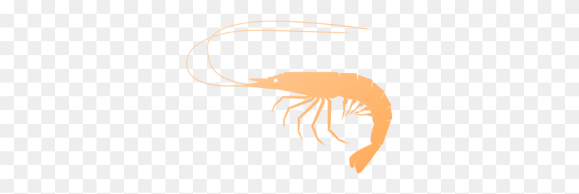 299x222 Shrimp Clip Art - Shrimp Clipart