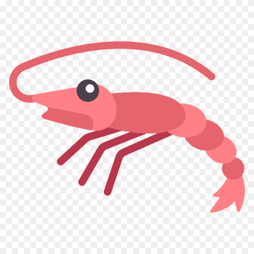 Shrimp - find and download best transparent png clipart images at ...