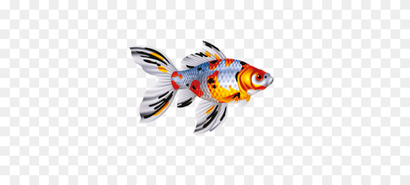 320x320 Shubunkin, Pond Fish With Mother Of Pearl Appearance Velda - Koi Fish PNG
