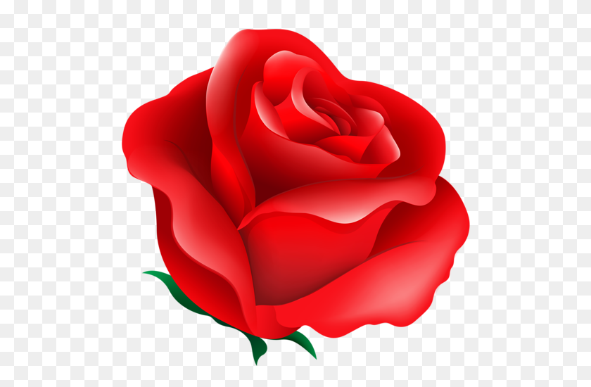 500x490 Shutterstock - Beauty And The Beast Rose Clipart