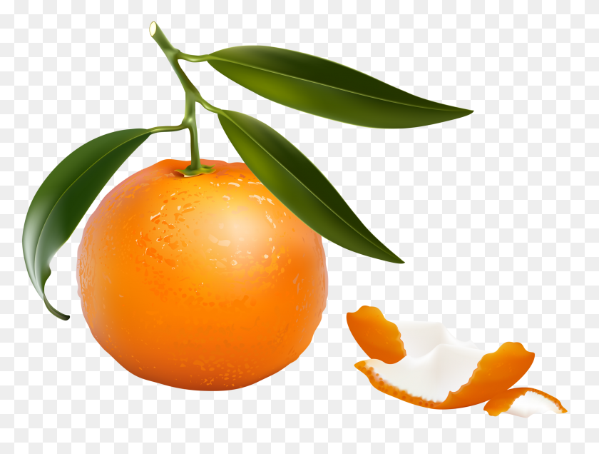 2560x1893 Shutterstock Fruit And Vegetables Clip Art Two - Tangerine Clipart