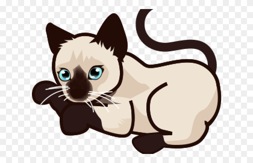 640x480 Siamese Cat Clipart Clip Art - Siamese Cat Clipart