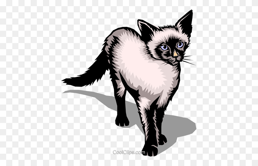 441x480 Siamese Cat Royalty Free Vector Clip Art Illustration - Siamese Cat Clipart