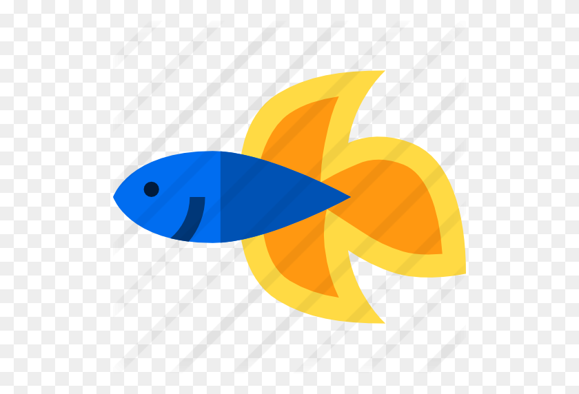 512x512 Siamese Fighting Fish - Betta Fish PNG
