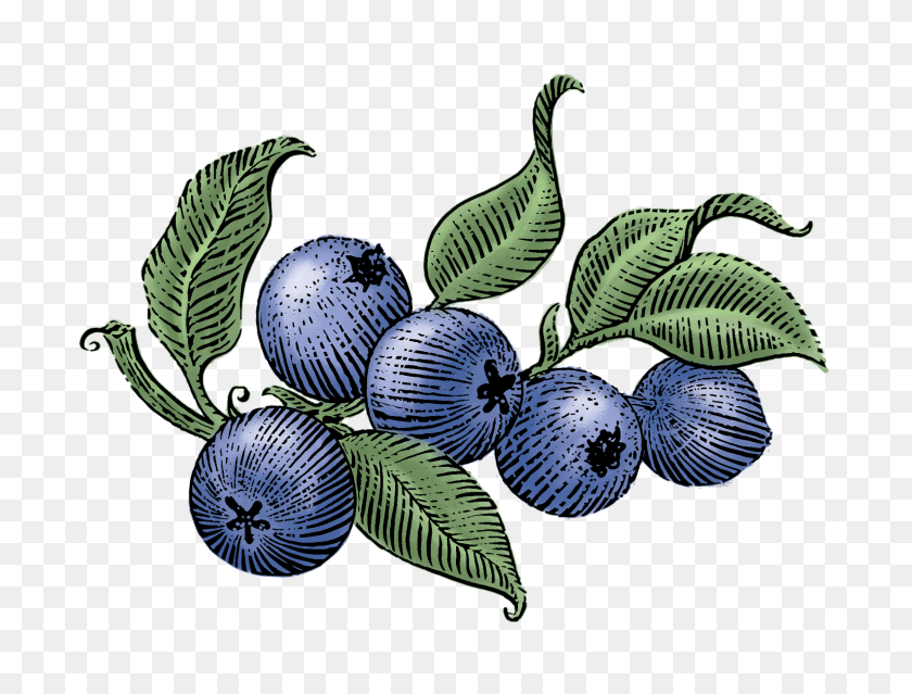 2244x1668 Siggi's Icelandic Style Yogurt Skyr - Blueberries PNG
