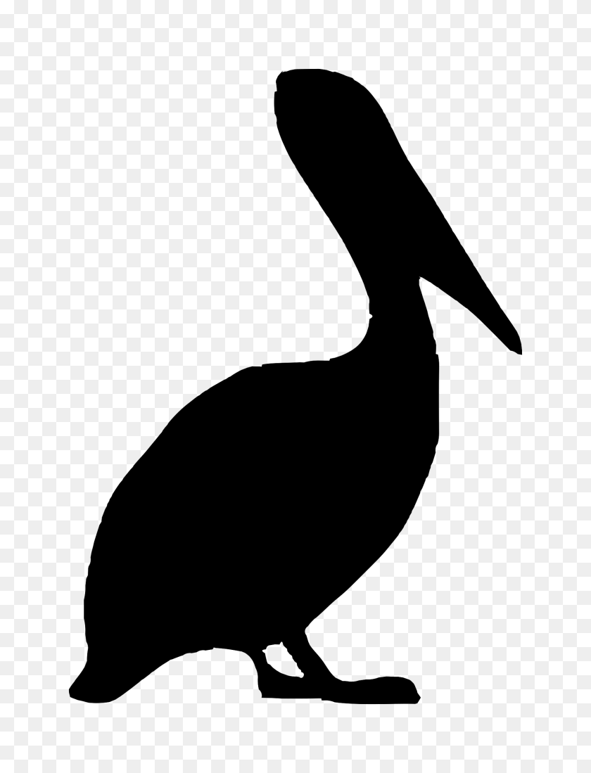 1801x2400 Silhouette - Pelican PNG