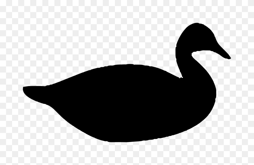 2400x1497 Silhouette - Duck PNG