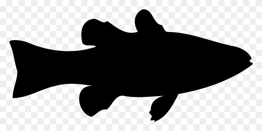 1617x750 Silhouette Art Crappies Computer Icons Bass - Bass Clipart