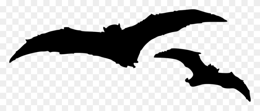 885x340 Silhouette Bat Signal Microbat Wing - Bat Silhouette Clip Art
