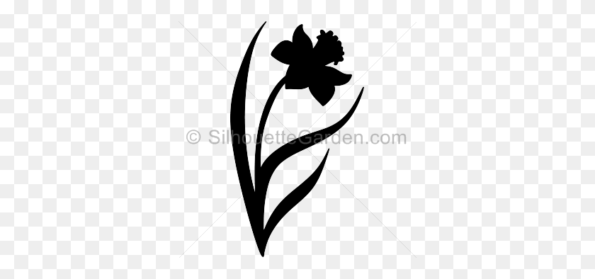 336x334 Silhouette Clip Art - Daffodil Clip Art
