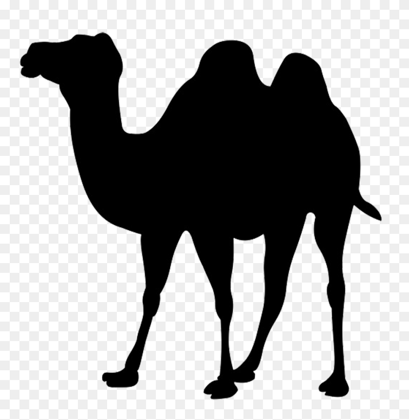 919x945 Silhouette Clip Art Of Camel - Camel Clipart