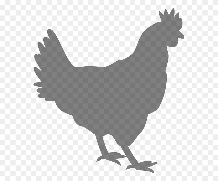 581x640 Silhouette Coq - Chicken Silhouette PNG