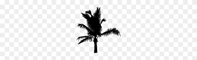 190x196 Silhouette Free Png Toppng - Palm Tree Silhouette PNG