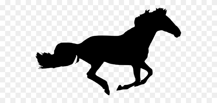563x340 Silhouette, Horse, Isolated, Black Buy Me A Coffee - Mustang Clipart Black And White