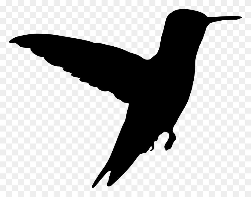 2286x1758 Silhouette Hummingbird Clipart, Explore Pictures - Flying Baseball Clipart