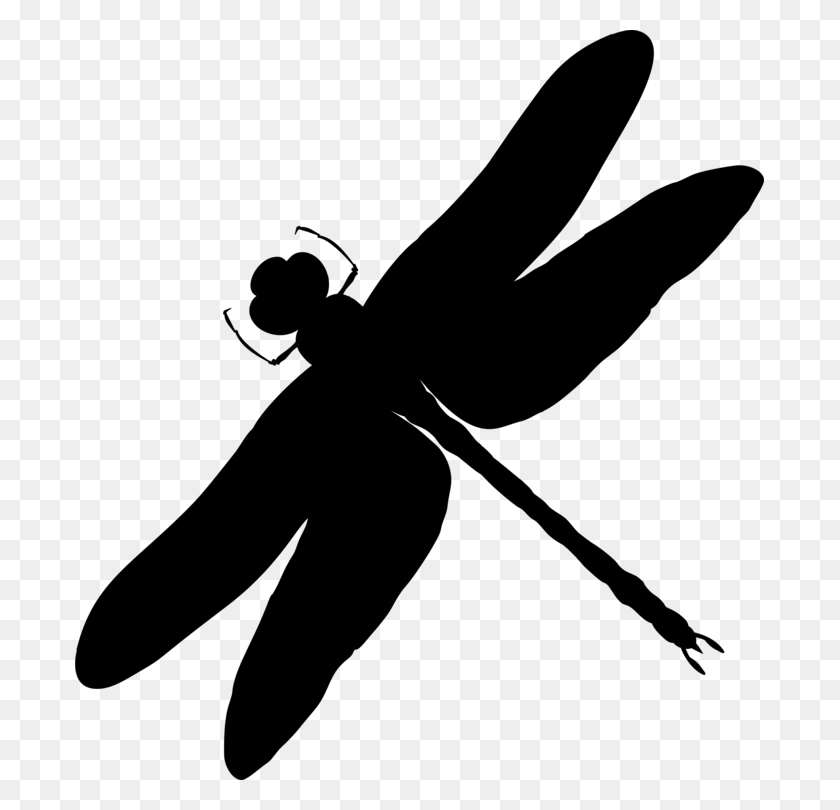 689x750 Silhouette Insect Dragonfly Black Animal - Mosquito Clipart