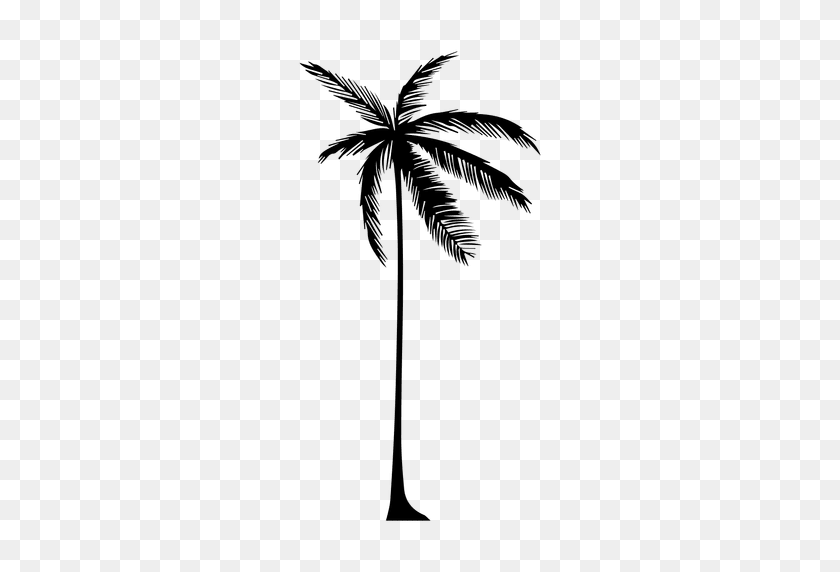 512x512 Silhouette Of A Palm Tree - Palm Tree Vector PNG