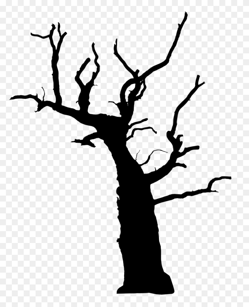 800x1002 Silhouette Png Background Tree Drawing Pictures - Trees Silhouette PNG