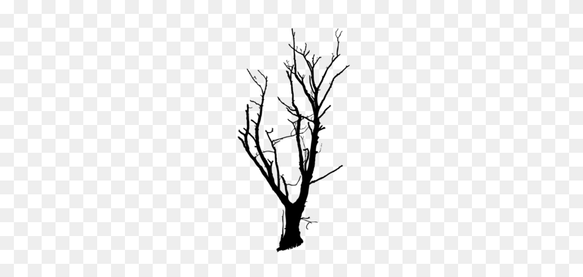 240x339 Силуэт Ствола Дерева Ветка Сосны - Мертвое Растение Клипарт