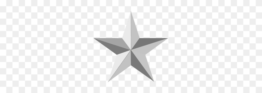 251x240 Silver Star - Silver Star PNG