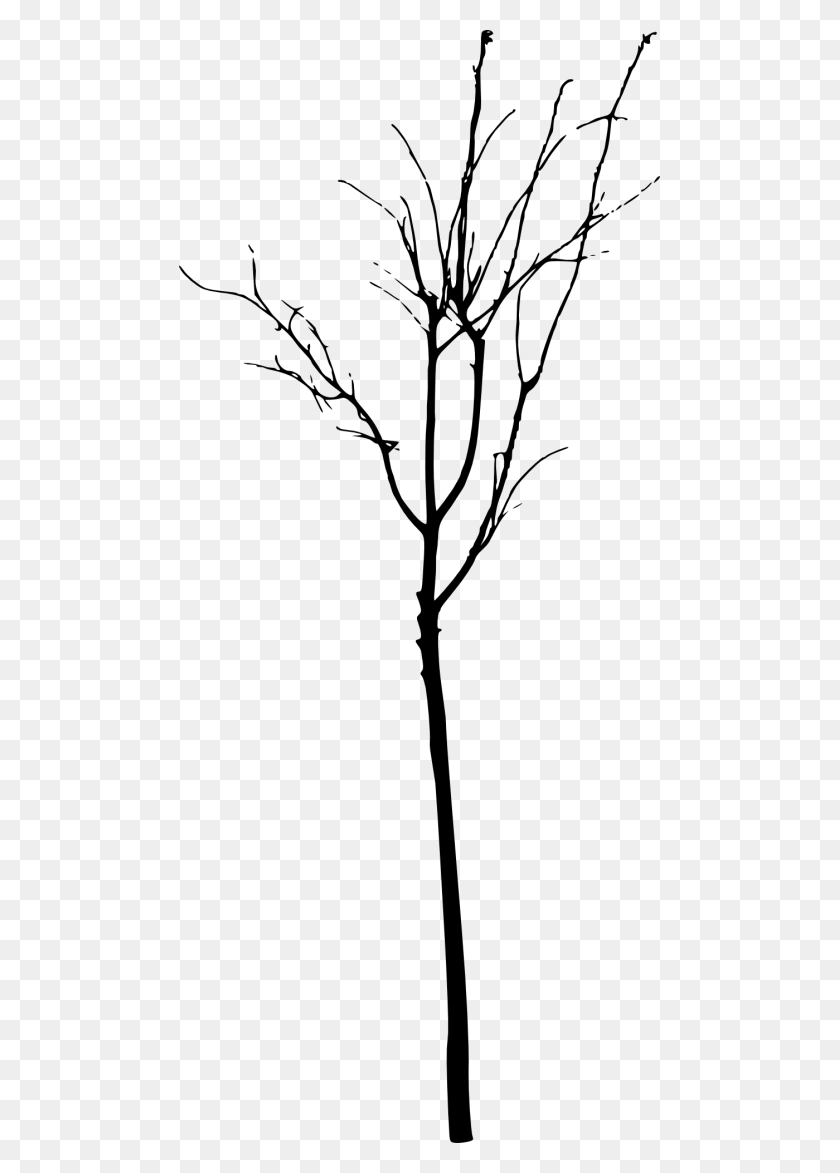 481x1113 Simple Bare Tree Silhouette Png - Bare Tree PNG