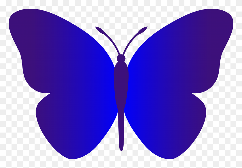 5381x3614 Simple Blue Butterfly - Simple Clip Art
