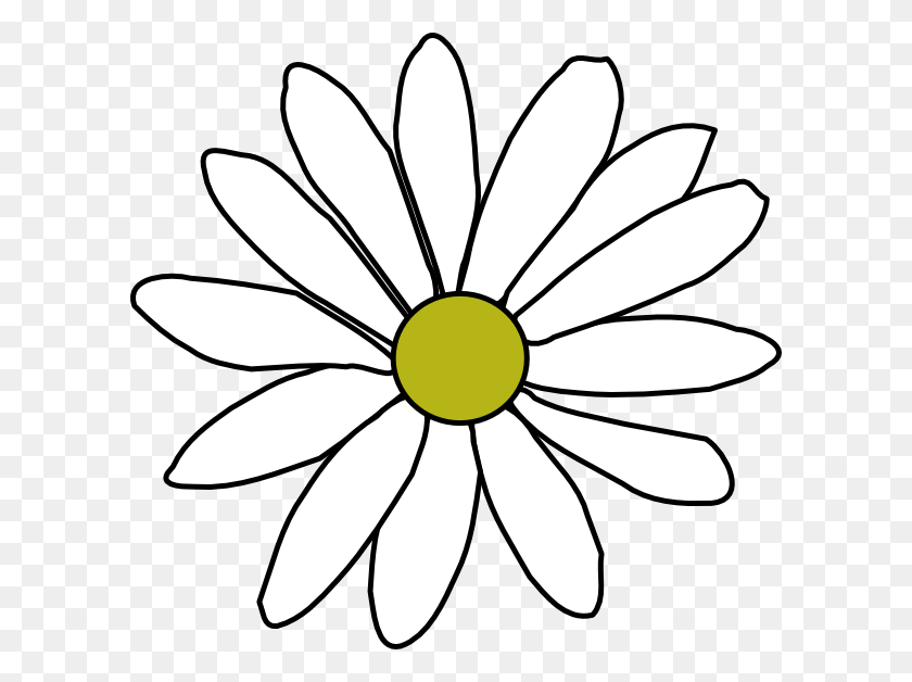 600x568 Simple Daisy Png Clip Arts For Web - Daisy PNG