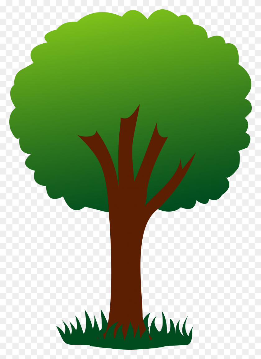 2856x4000 Simple Green Tree In Grass - Tree Free Clipart