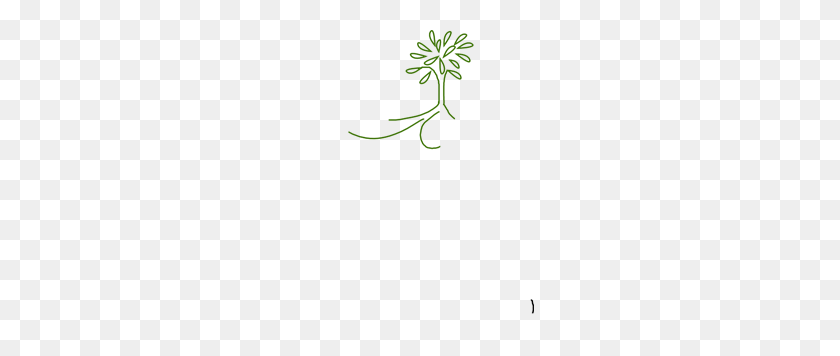 228x296 Simple Leafy Tree Green With Roots Png Clip Arts For Web - Tree With Roots PNG