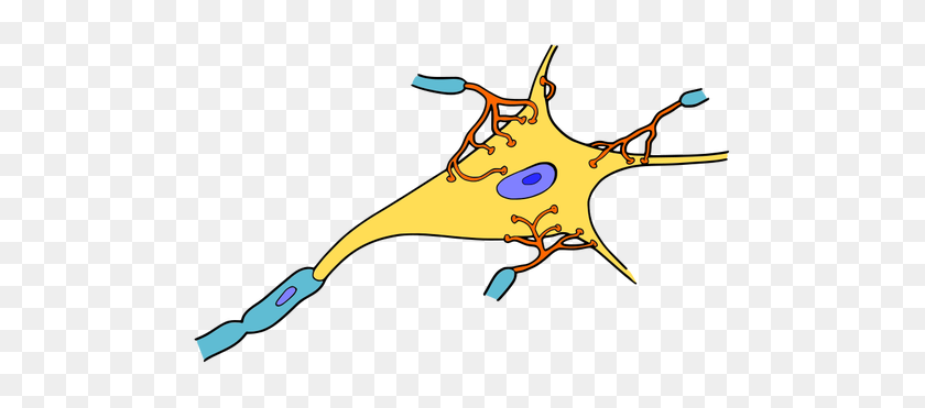 500x311 Simple Neuron Vector Drawing - Neuron Clipart