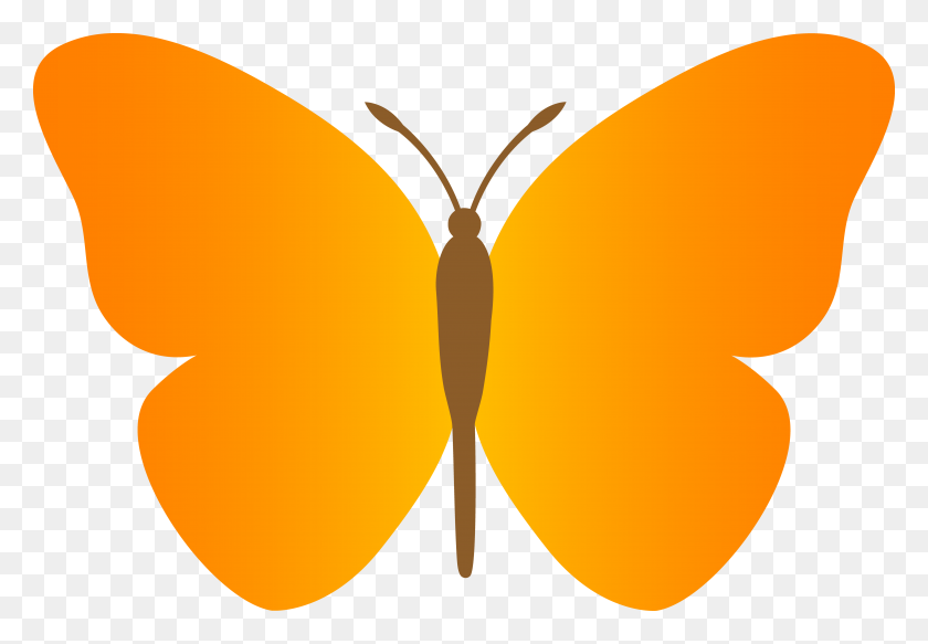 5381x3614 Simple Orange Butterfly - Orange Clipart