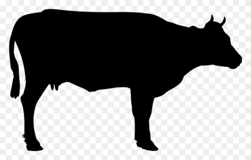 818x500 Simple Silhouette Vector Graphics Of A Cow - Roadkill Clipart