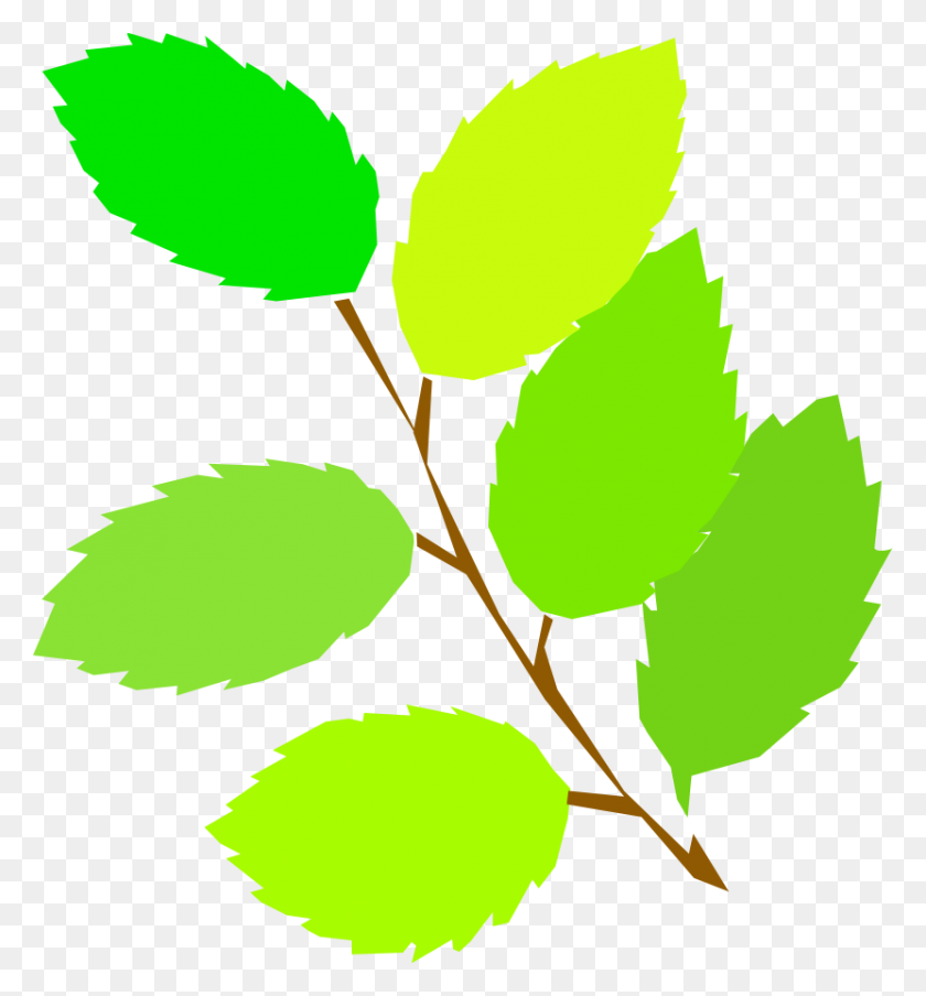 831x900 Simple Spring, New Leaves Png Clip Arts For Web - Spring Music Clipart