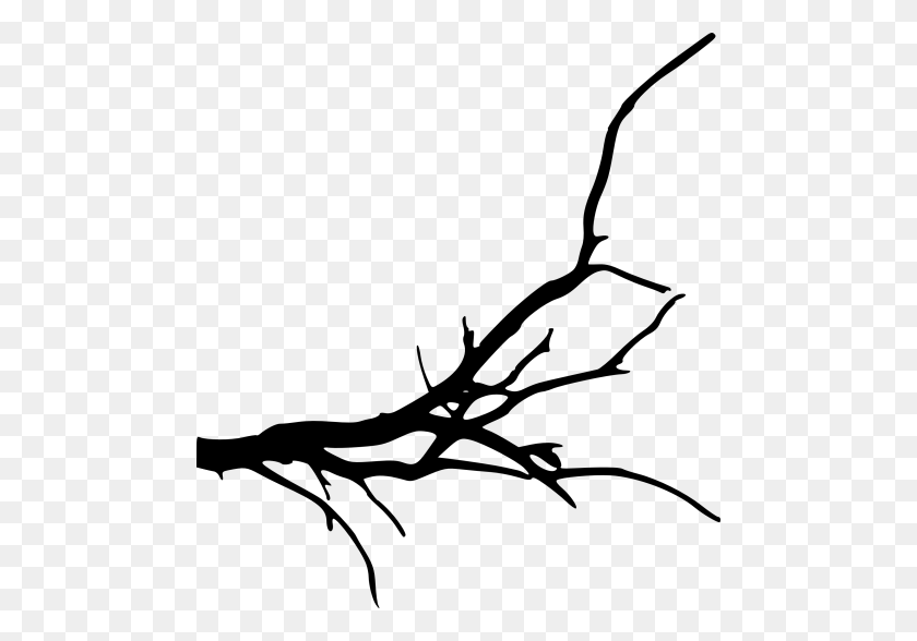 480x528 Simple Tree Branch Png - Tree Branch PNG