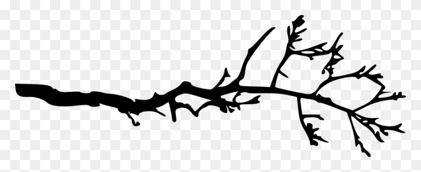 850x310 Simple Tree Branch Png - Trees Silhouette PNG