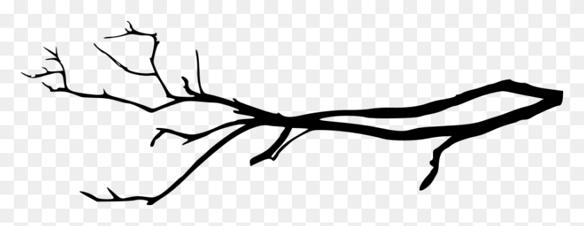 850x289 Simple Tree Branch Png - White Tree PNG
