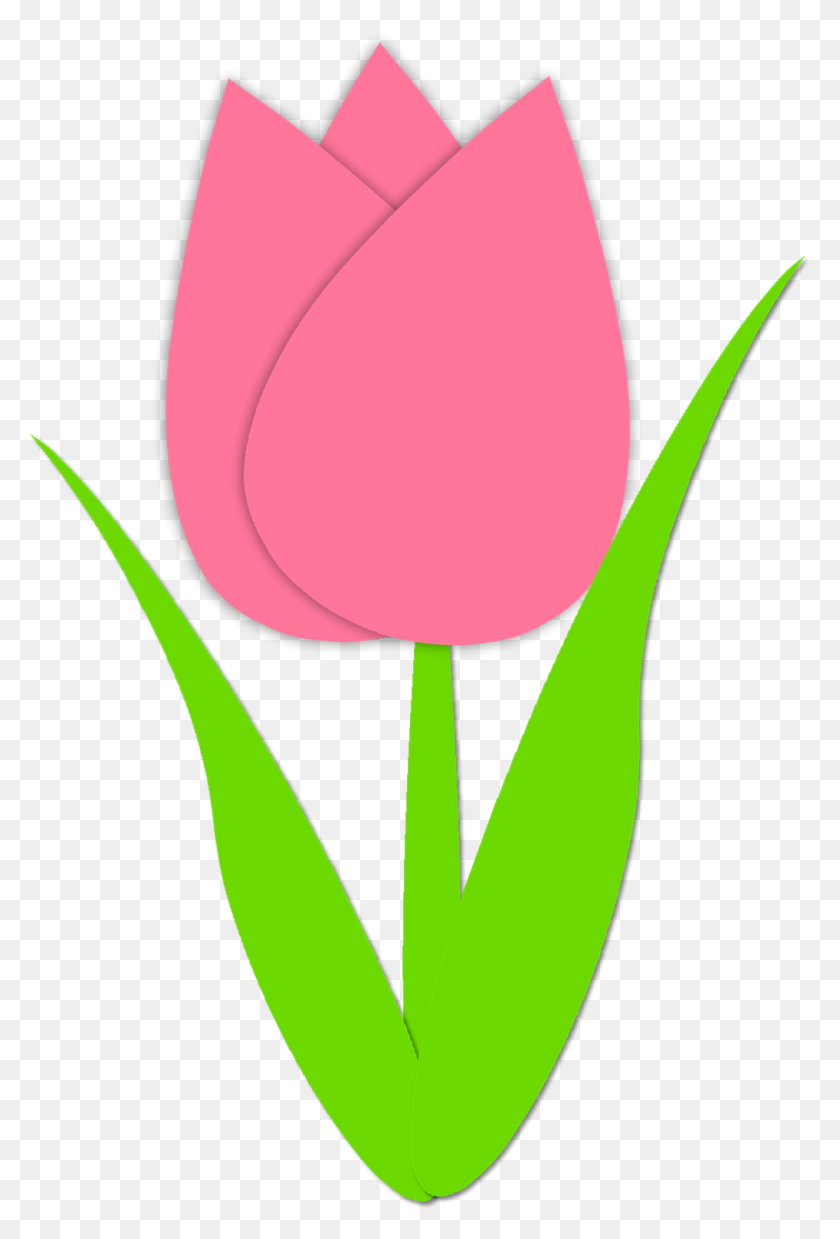 1018x1539 Contorno De Tulipán Simple Contorno De Tulipán Simple Tulipanes De Primavera - Clipart De Resorte Mecánico