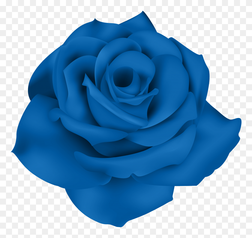 8000x7498 Rosa Azul Png Clipart - Una Sola Flor Png