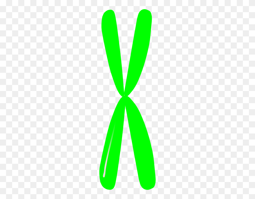 186x596 Single Chromosome Png Clip Arts For Web - Chromosome Clipart